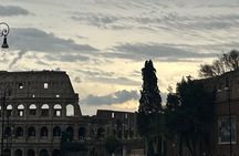 Rome: Colosseum Roman Forum & Palatine Hill Small/Private Tour 