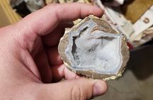 Guided Rock Collecting Adventure with a Geologist