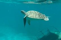 Sail and Snorkel Private Charter - Half Day Morning