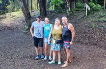 Tour DE l'île DE Tahiti EN car TiTi's Tahiti Tour