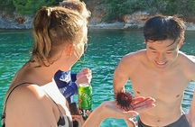 Half-Day Group Boat Tour from Zadar to the Nearby Islands