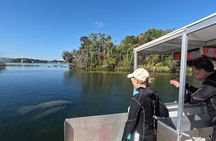 Manatee and Wildlife Viewing Tour