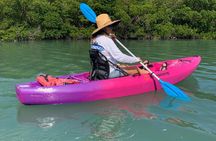 Beginner Friendly 1-Hour Paddle Tour by Kayak or SUP