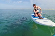 Beginner Friendly 1-Hour Paddle Tour by Kayak or SUP