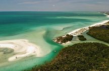 Beginner Friendly 1-Hour Paddle Tour by Kayak or SUP