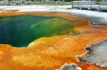 Private Tour of Yellowstone Lower Loop