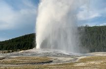 Private Tour of Yellowstone Lower Loop