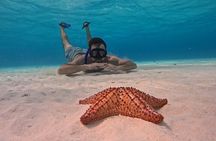 Private Cozumel Snorkeling Adventure From Riviera Maya