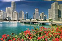 See it All in One Tour!! 6hr VIP Full Experience of Miami!!