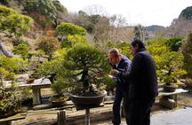 Hiroshima：Bonsai trimming tour (with photo data)
