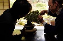 Hiroshima：Bonsai trimming tour (with photo data)