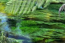 Ex Hamilton TRIPLE DEAL Wai O Tapu Redwood Forest and Blue Spring