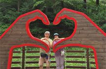 Seoul Jangtaesan Forest & Daejeon Bakery Full-Day Tour