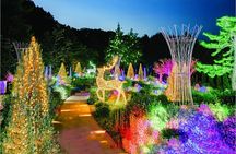 Nami, Rail Bike, The Alpaca Garden & Light Festival