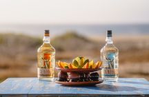 Camel Ride and Tequila Tasting Adventure in Los Cabos