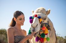 Camel Ride and Tequila Tasting Adventure in Los Cabos