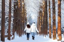 Strawberry & Eobi Valley & Nami Island & Garden of Morning Calm