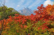 Seoraksan National Park & Nami Island