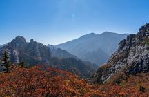 Seoraksan National Park & Nami Island