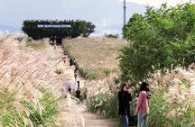 Seoul City Highlights Tour: Hanok Village, Scenic Routes