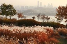 Seoul City Highlights Tour: Hanok Village, Scenic Routes