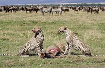 4 Day Serengeti Luxury Tented Camps Safari