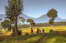 Volcanoes Scenic Walk and Caves Exploration Tour