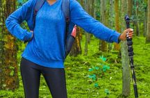 Volcanoes Scenic Walk and Caves Exploration Tour