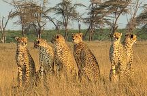 Amboseli & Nairobi National Park 3 Day Safari