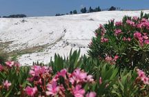 Skip the Line Pamukkale Tour for Crusiers from Kusadasi Port 