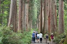 Private Retreat: Ninja Temple, Soba class and sake Experience