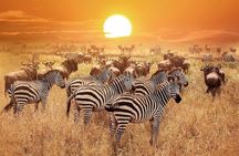 9 Days Northern Circuit Safari Serengeti Migration Focus