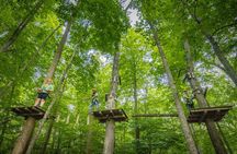 TimberTrek Treetop Challenge Adventure
