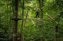 TimberTrek Treetop Challenge Adventure