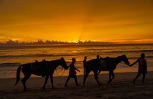 Phuket Sunset Horse Riding at Kamala Beach