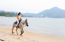 Horse Riding Kamala Beach Phuket One Hour Tour