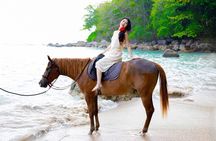 Horse Riding Kamala Beach Phuket One Hour Tour