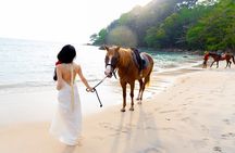 Horse Riding Kamala Beach Phuket One Hour Tour