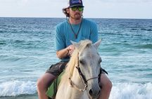 Jungle and Beach Horse Ridding round trip transportatin.