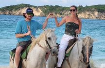 Jungle and Beach Horse Ridding round trip transportatin.
