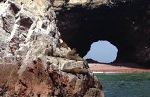 Paracas full day from Lima (private service)