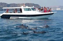 Muscat Dolphin Watching and Coastal Sightseeing