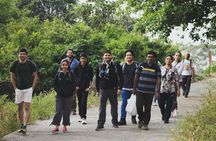 Yoga, Sound Therapy and Vegan Breakfast Experience in Delhi