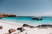 Al Mouj: Daymaniyat Island Natural Reserve Snorkeling
