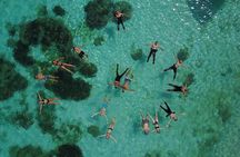 Al Mouj: Daymaniyat Island Natural Reserve Snorkeling