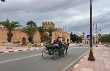 Tour to Taroudant and the Oasis DE Tiout Check-out from Agadir