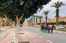 Tour to Taroudant and the Oasis DE Tiout Check-out from Agadir