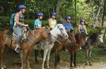 Samaná and Cayo Levantado Whales from Punta Cana