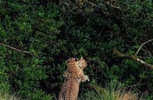 High recommended multi-day customizable Sri Lanka tours 