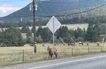 Rocky Mountain National Park Car Tour from Estes Park